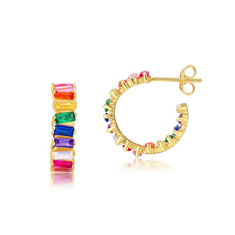 Colorful II Earring